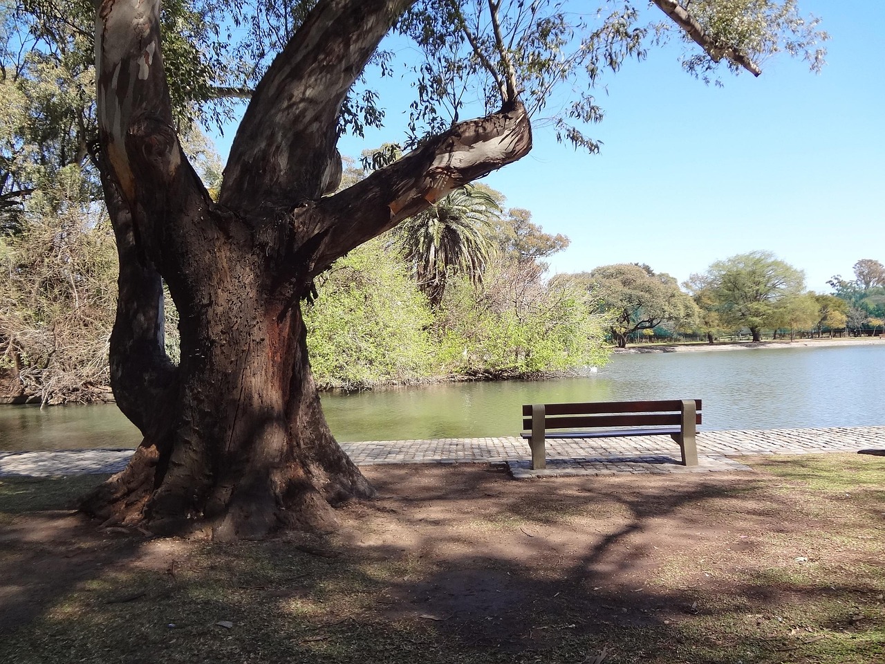 Lake in Palermo Parks Buenos Aires