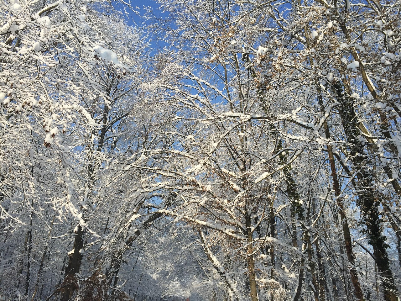 Maksimir Park Zagreb