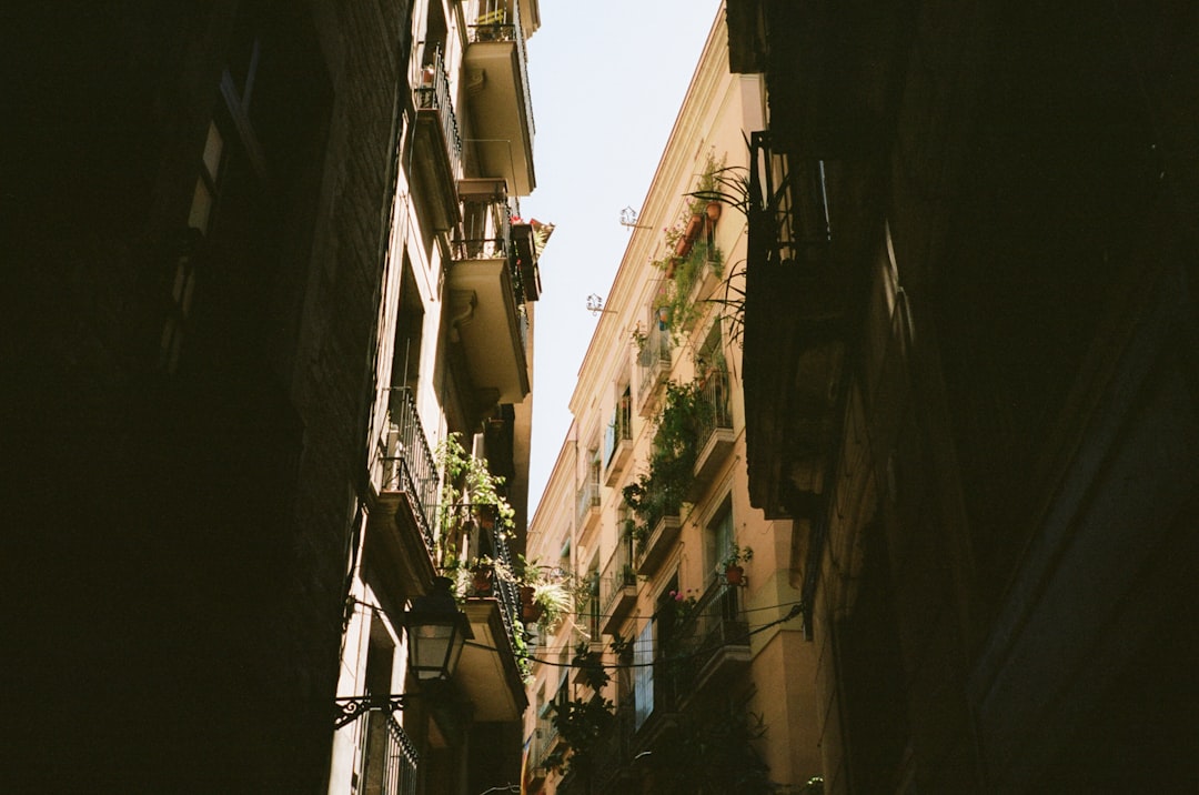 Al-Muizz Street in Historic Cairo