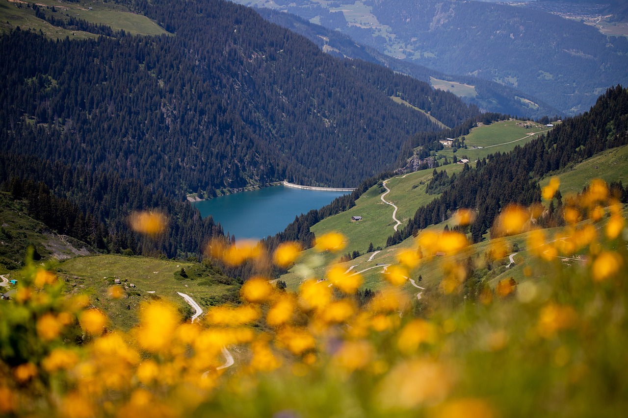 Albertville