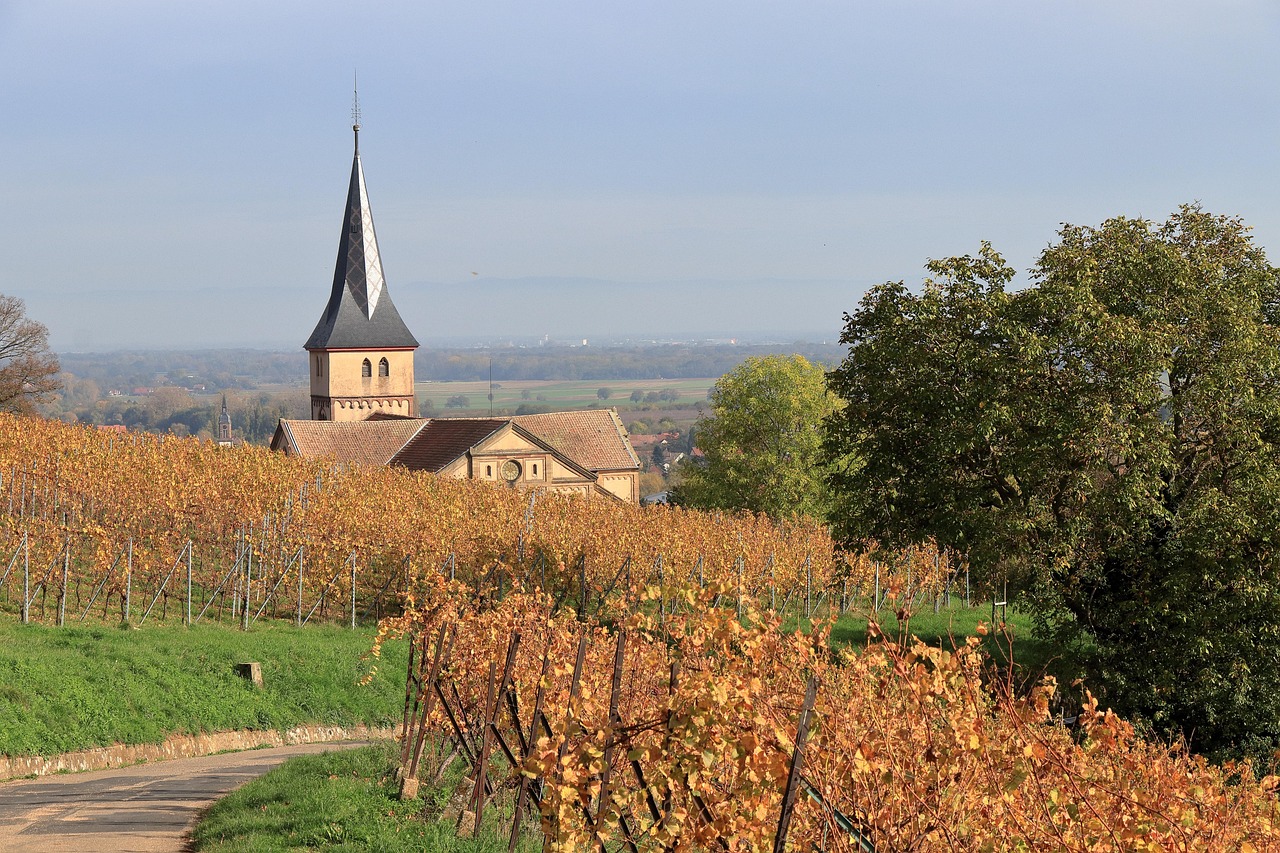 Alsace Wine Route