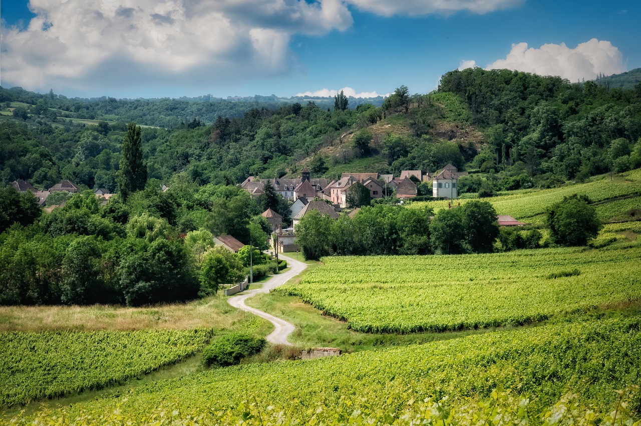 Panoramic view of Burgundy vineyards and village