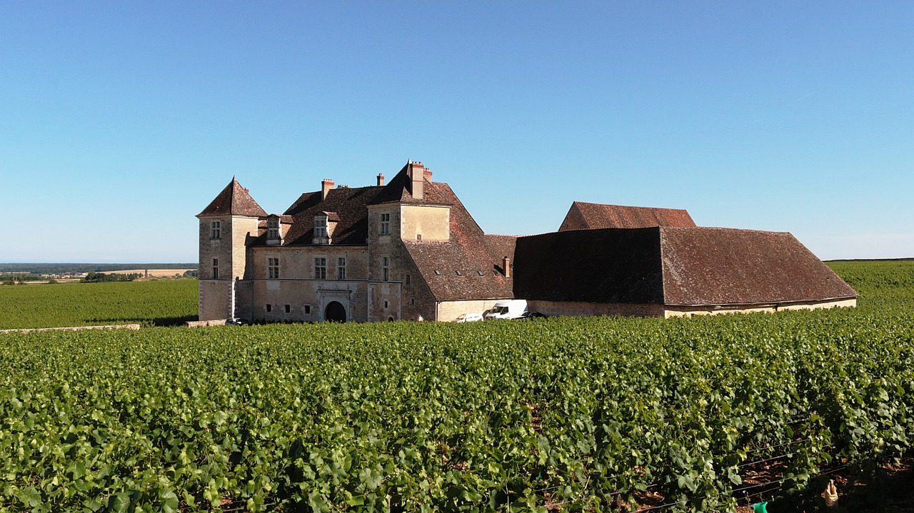Clos de Vougeot château surrounded by vineyards