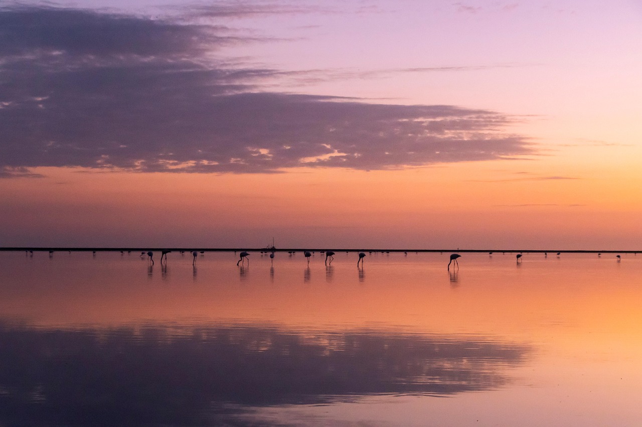 Camargue Beaches