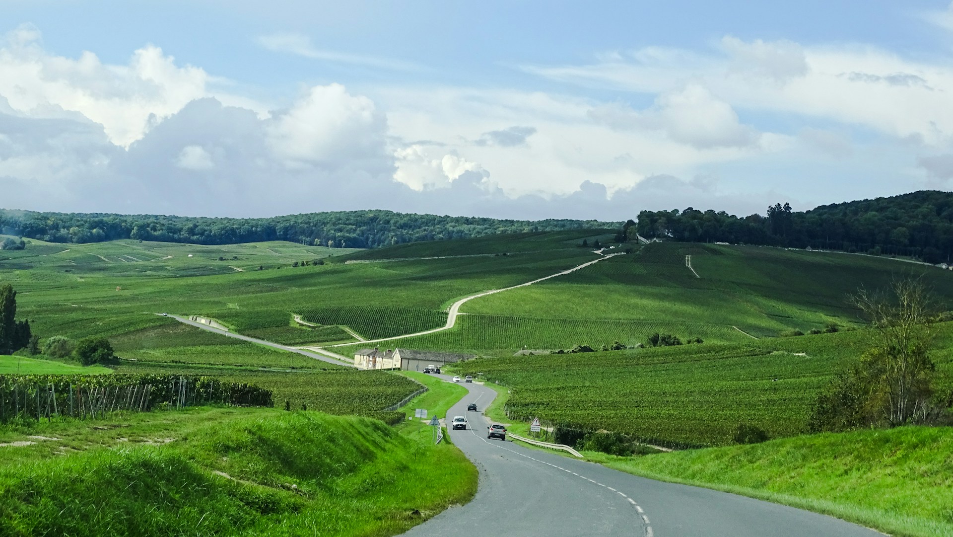 Champagne Wine Route