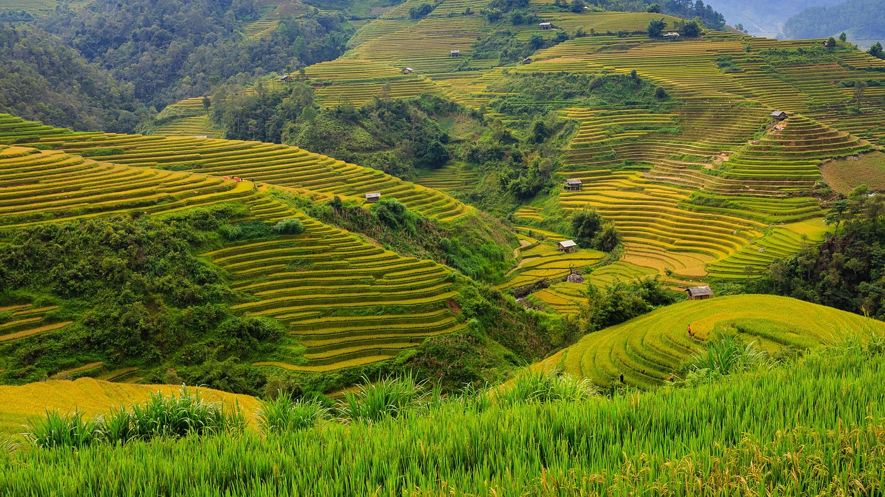 Nice France in different seasons