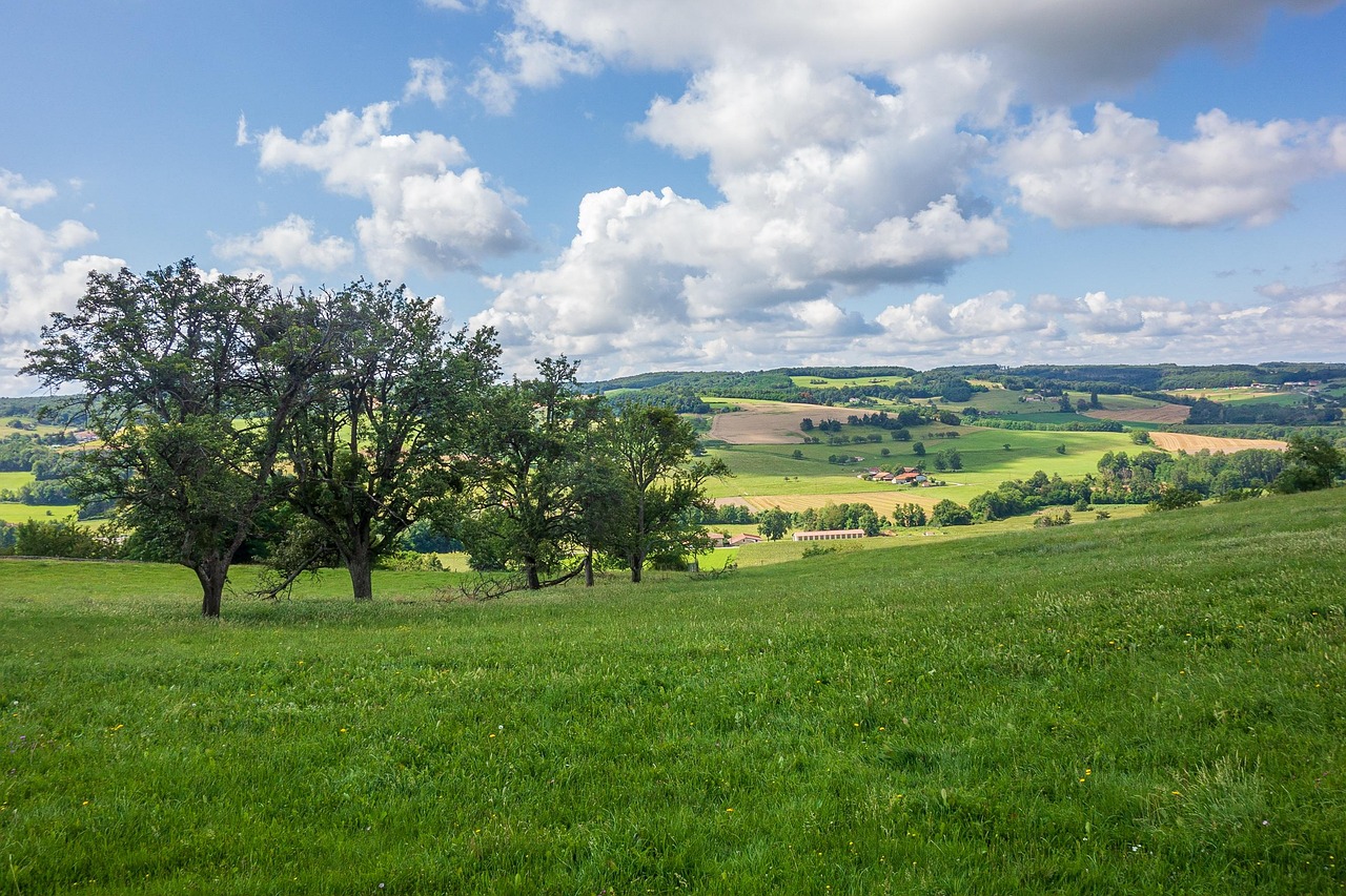 Normandy Cider Route