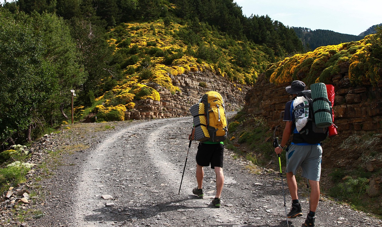 Ordesa National Park canyon in Spanish Pyrenees