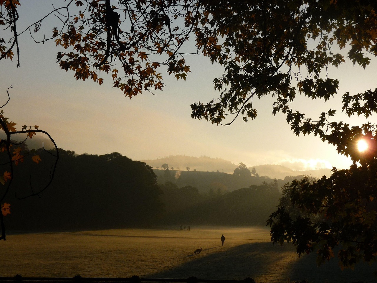 Lichtentaler Allee park in Baden-Baden