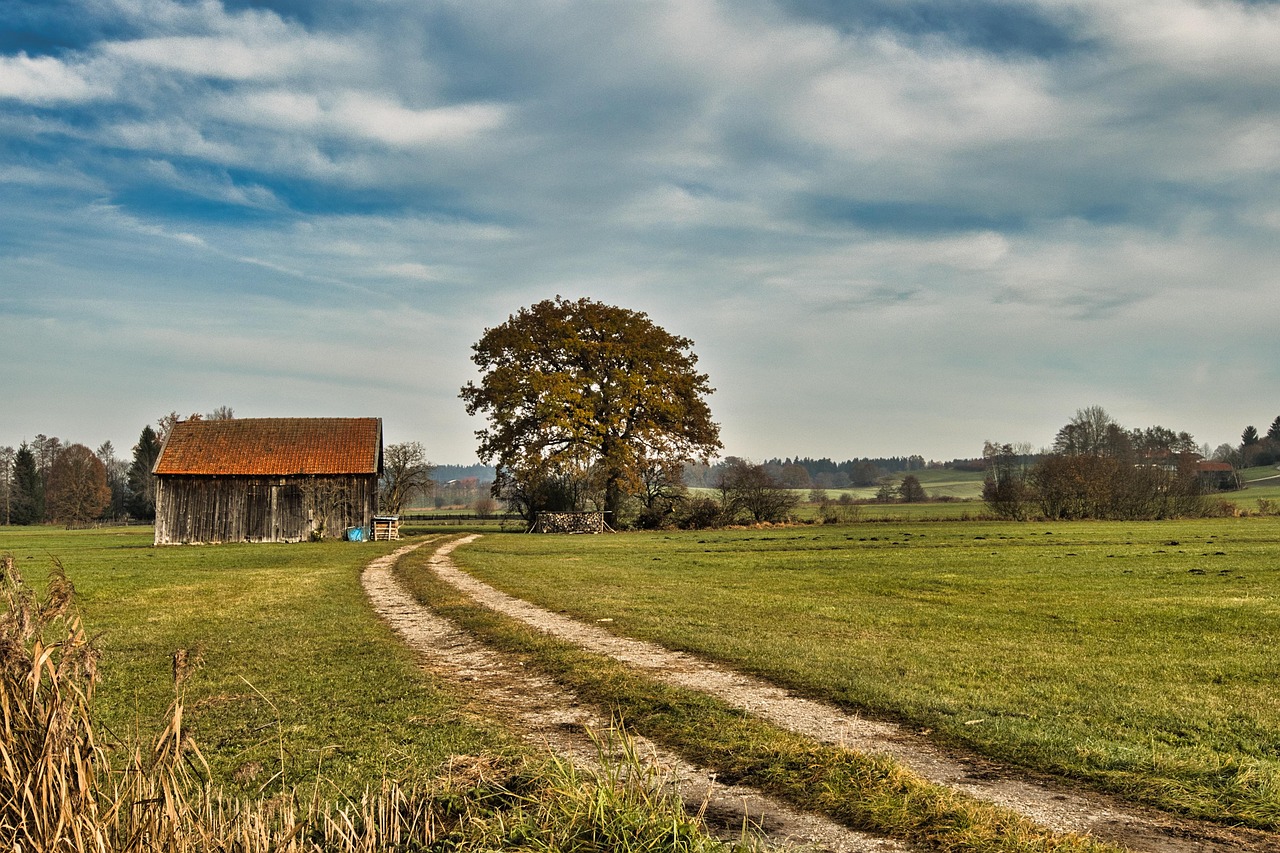 Chiemgau countryside with fields and Alps