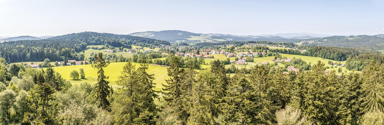 Bavarian Forest National Park