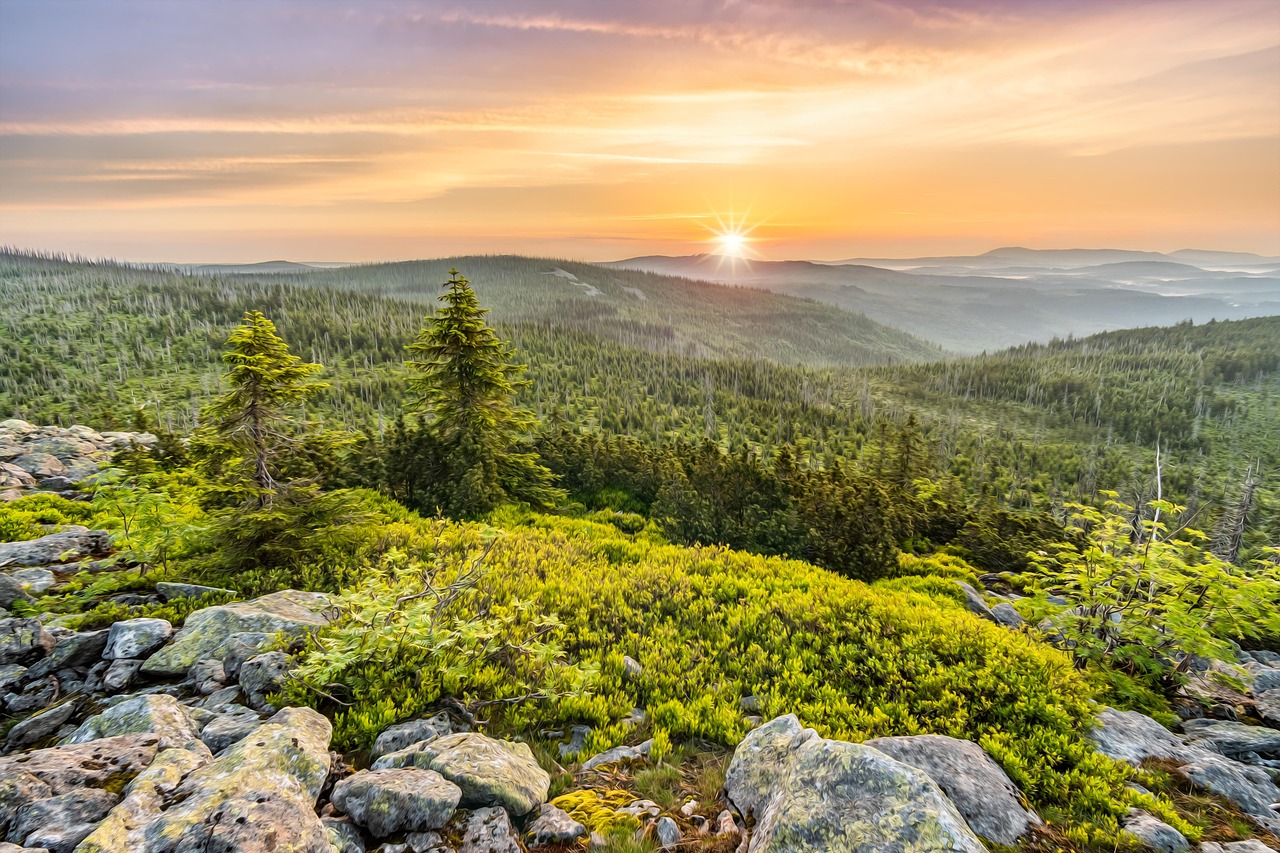 Lusen in Bavarian Forest National Park, Germany