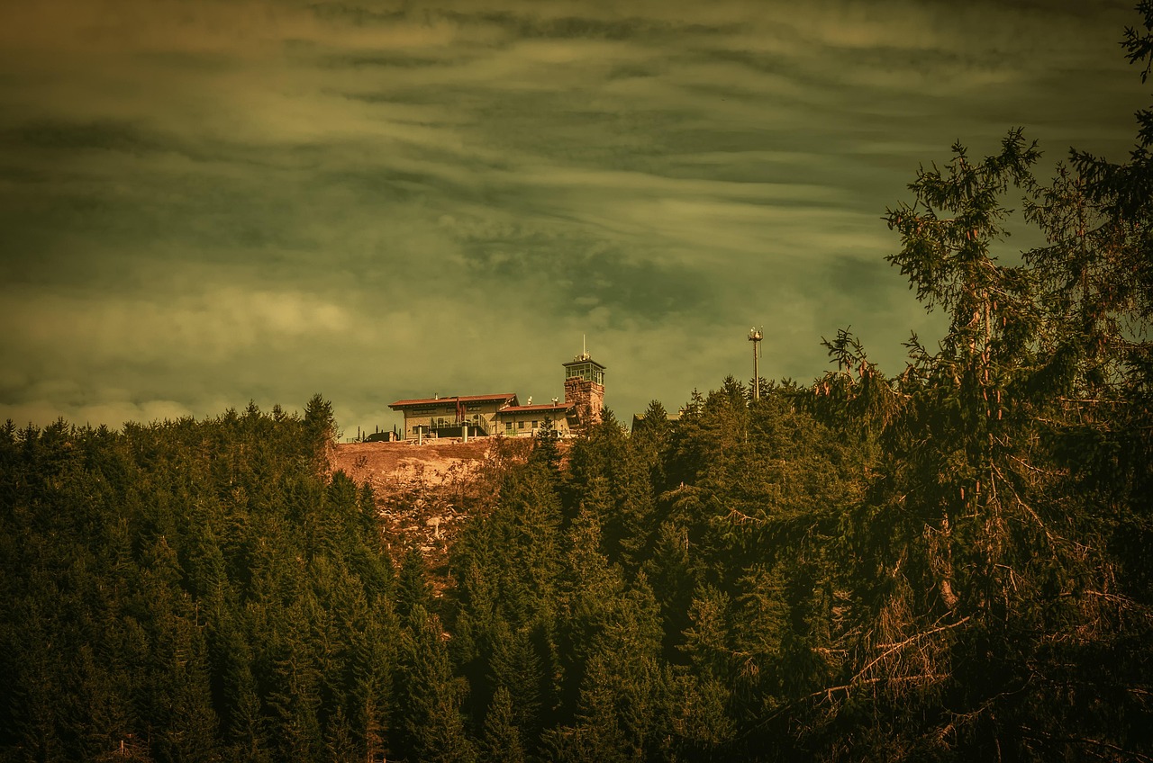 Black Forest High Road
