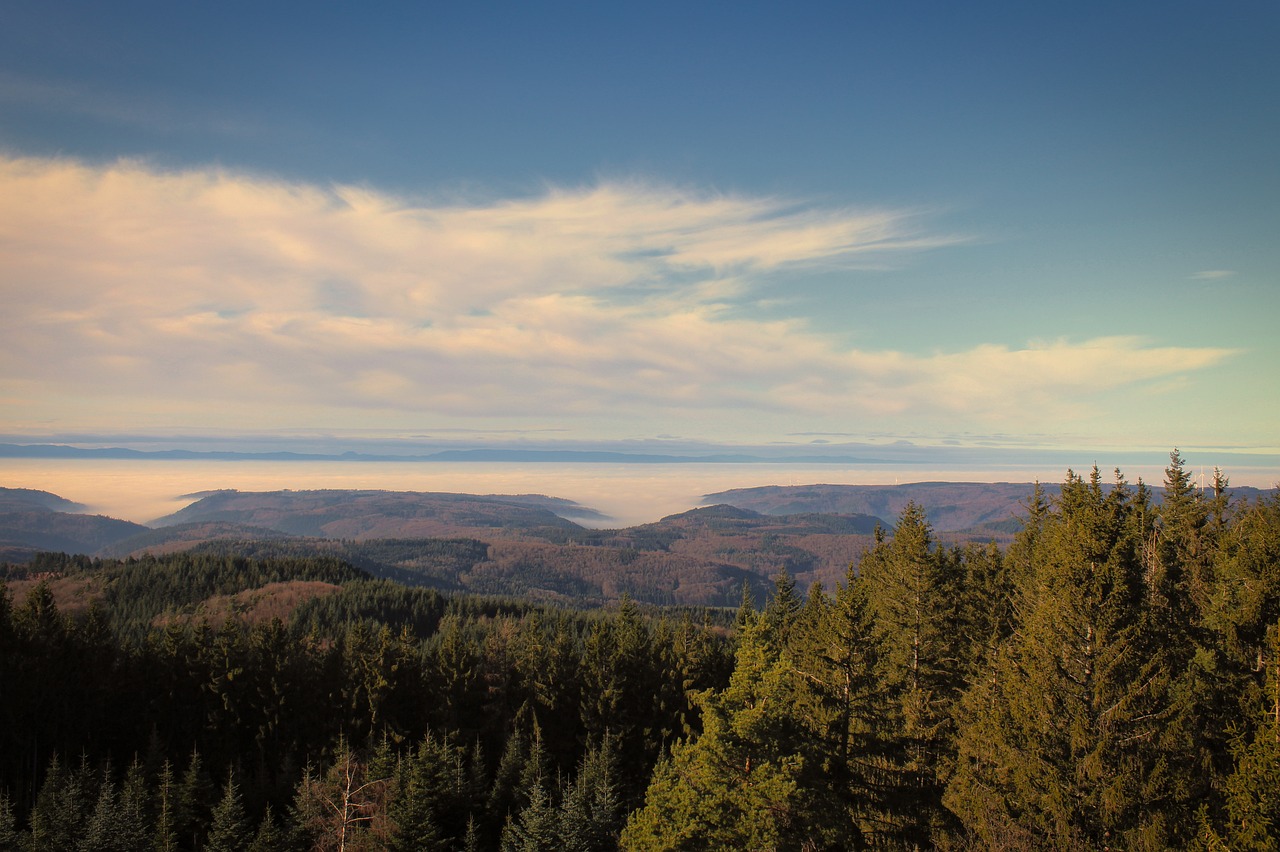 Black Forest Mountains