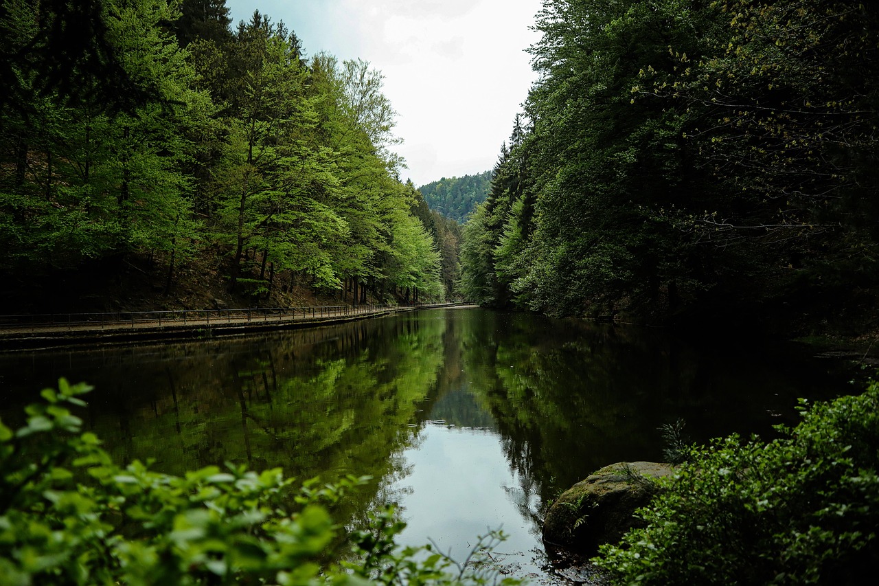 Amselsee lake near Rathen in Elbe Sandstone Mountains