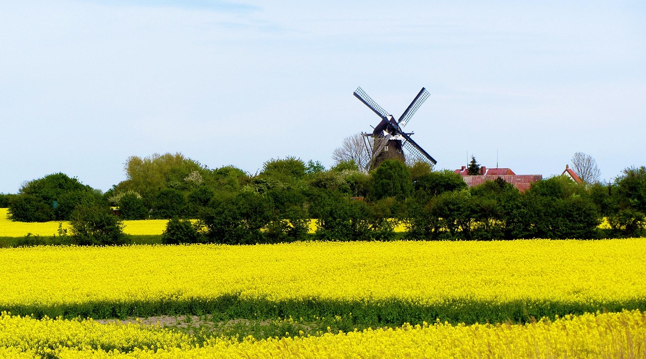 Lemkenhafen harbor and historic windmill on Fehmarn