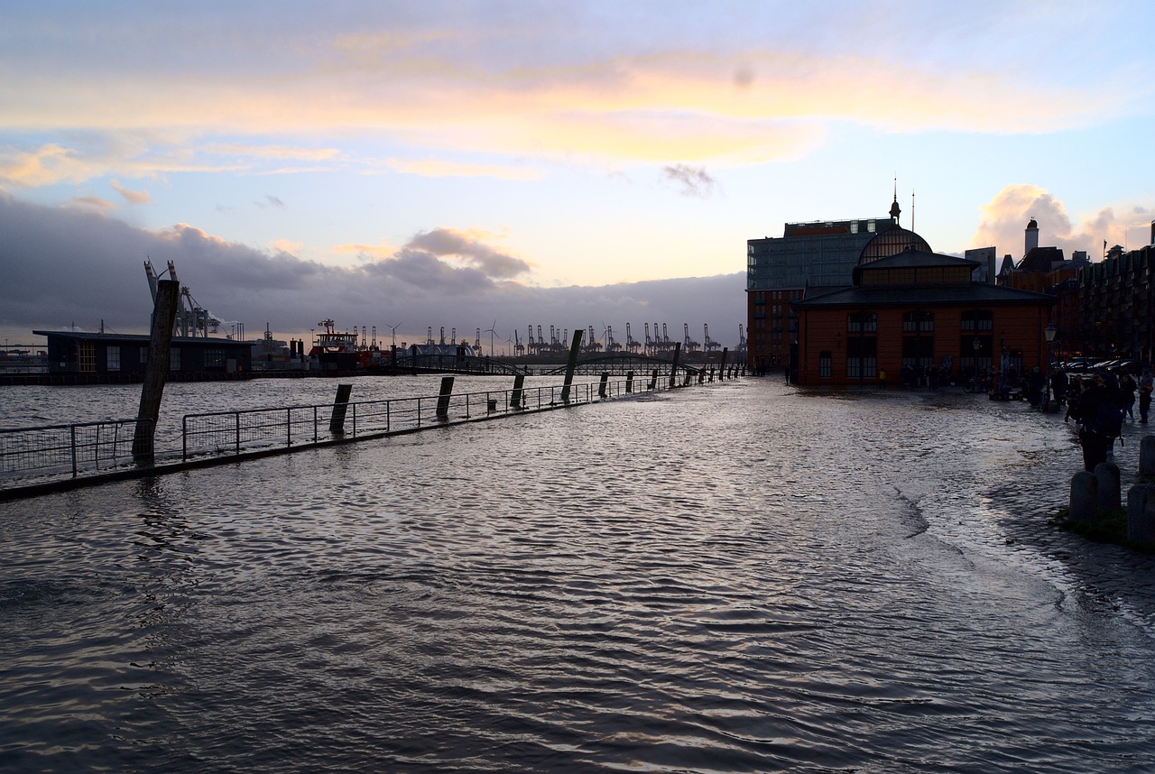 Hamburg Fish Market on Sunday morning