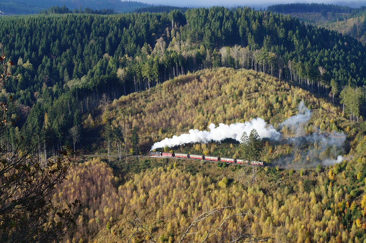 Harz National Park