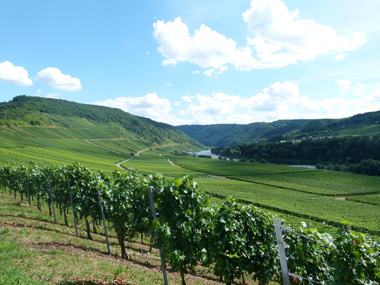 Moselle Valley