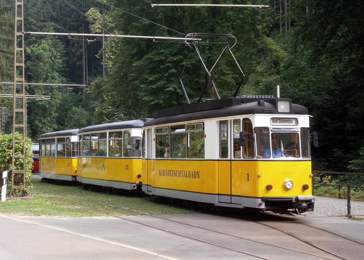 Kirnitzschtal valley and forest in Saxon Switzerland