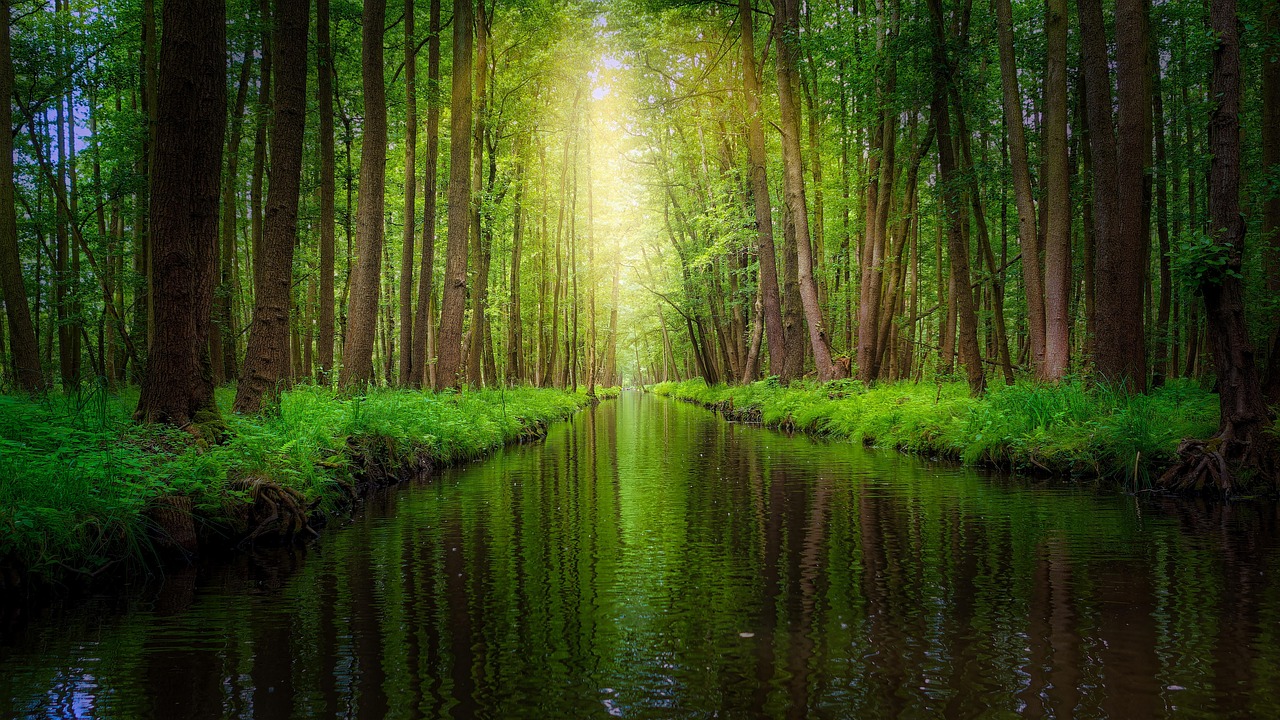Spreewald Biosphere Reserve