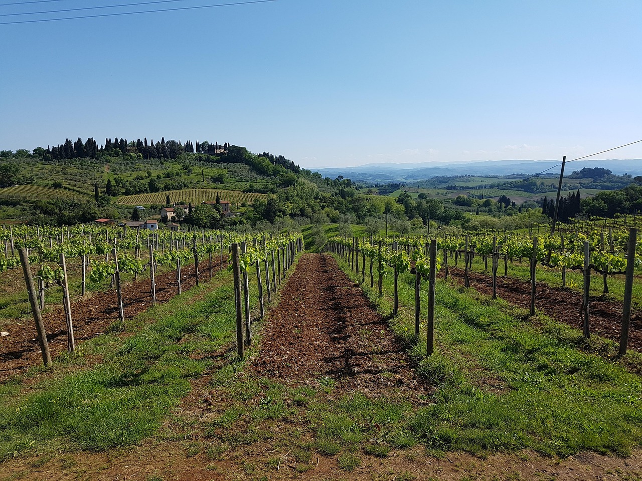 Chianti