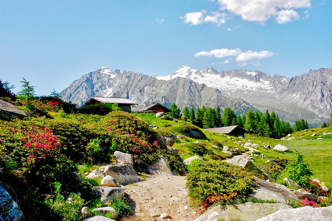 Brenta Dolomites rock faces above green valley