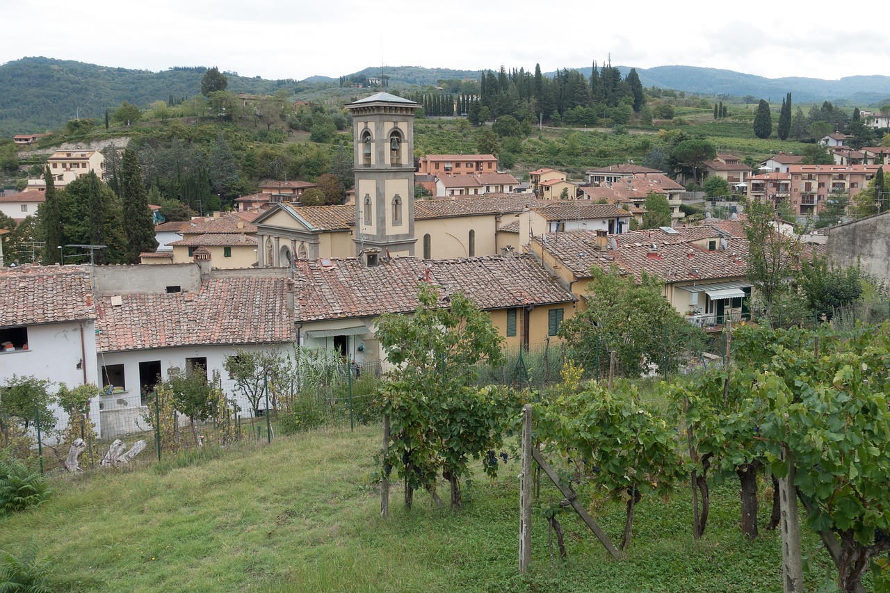 Chianti vineyards near Florence