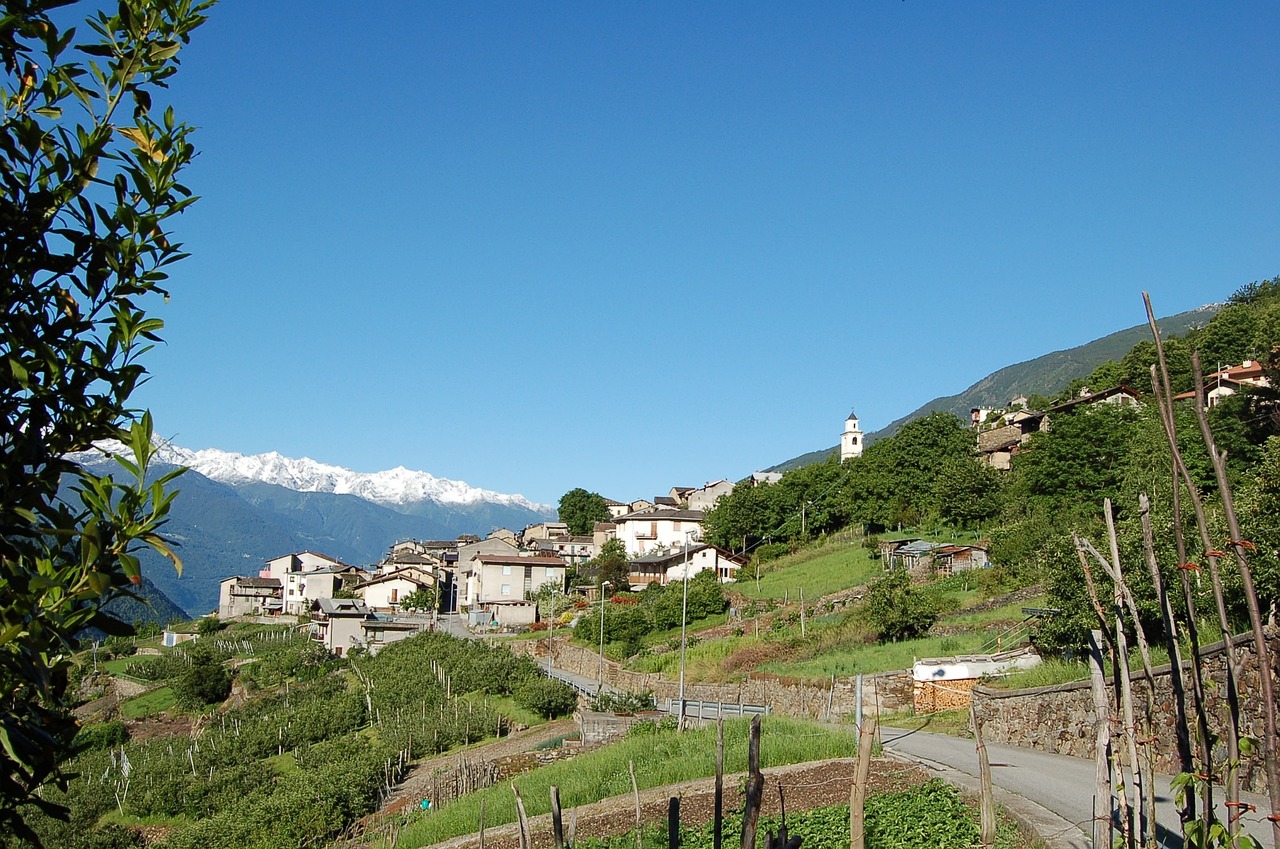 Tirano
