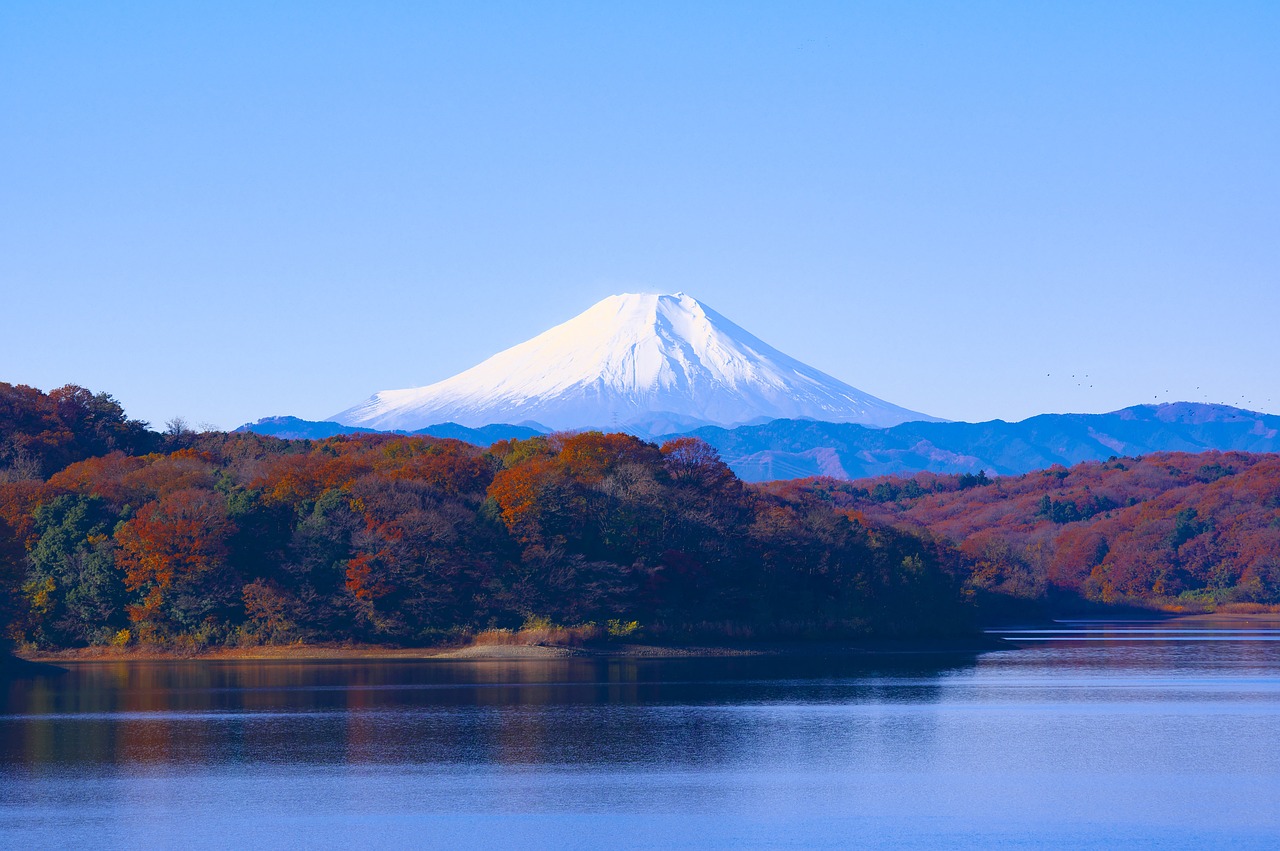 Autumn leaves in Tokyo garden