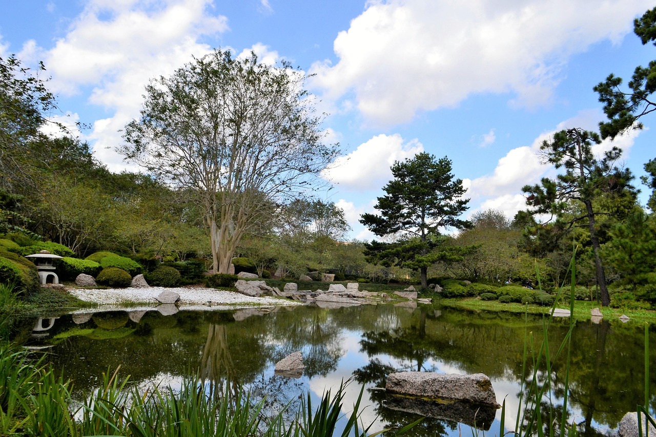 Wroclaw Botanical Garden