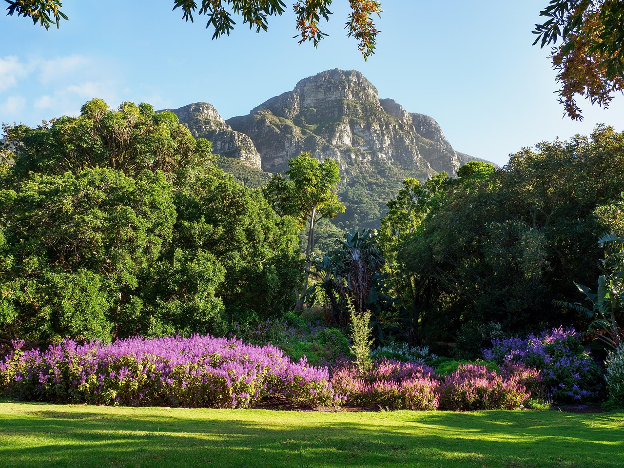 Kirstenbosch National Botanical Garden Cape Town