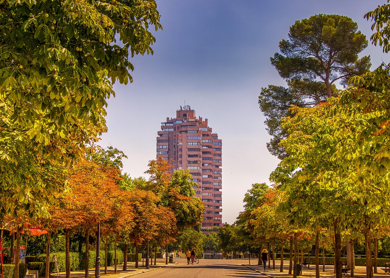 Madrid city view in different seasons