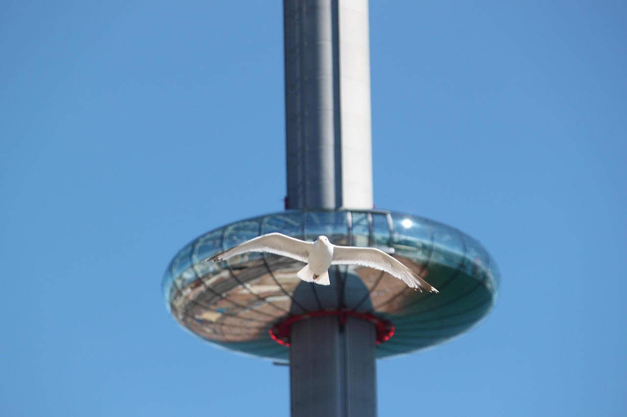 Brighton i360 tower