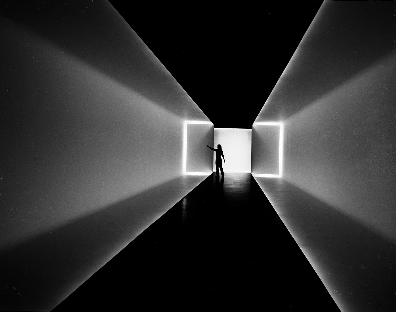 Museum of Fine Arts Houston