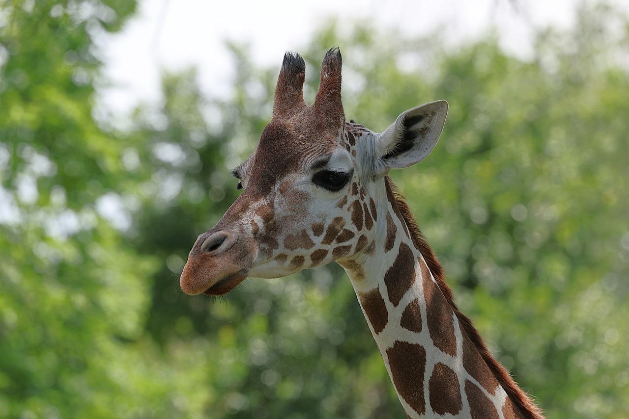 Indianapolis Zoo and White River Gardens