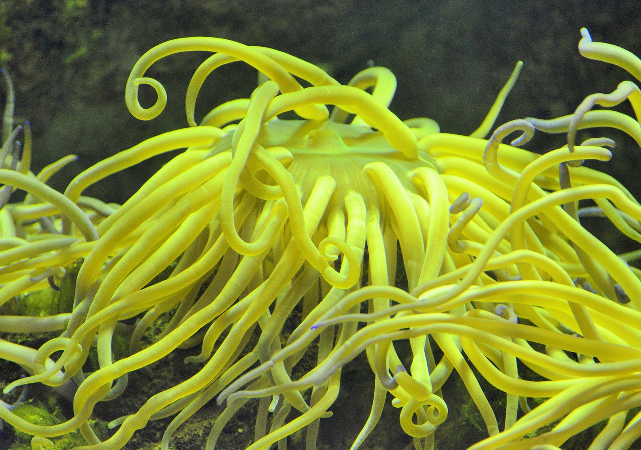Florida Aquarium in Tampa