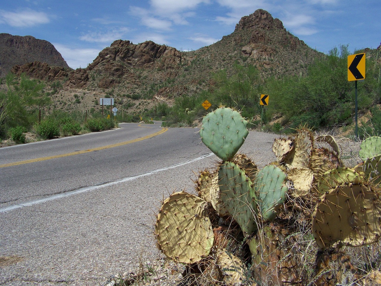 Desert road leading away from Tucson