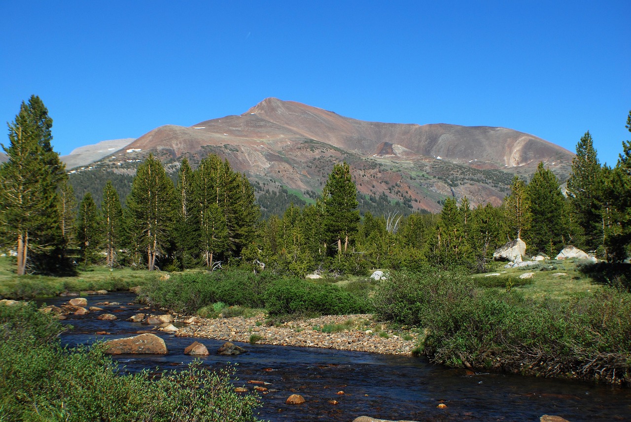 Tuolumne Meadows high country landscape